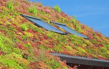 Ball Green living roof systems